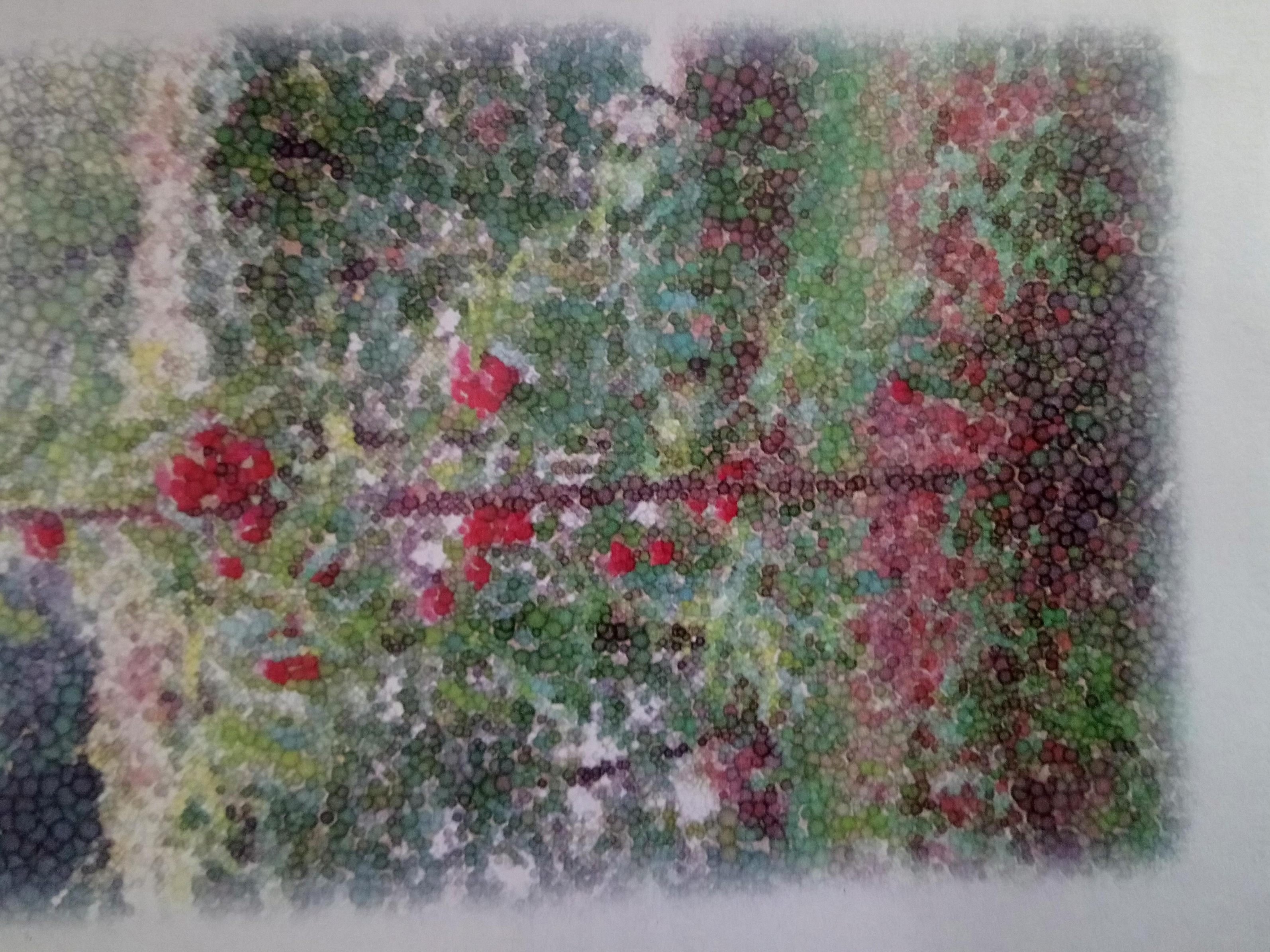 Projekt Fruchtgenuss