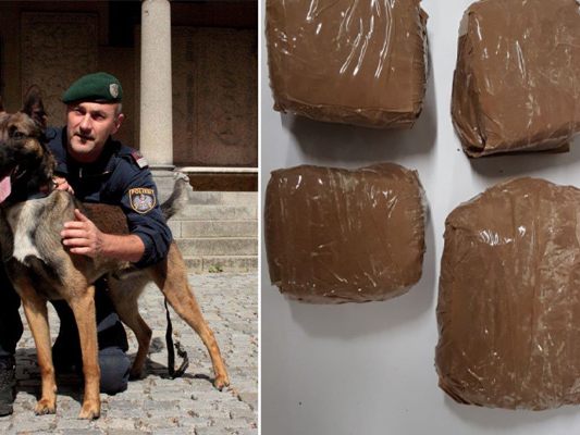 Über Polizeihund "Rasty" konnte ein großes Drogenversteck ausgemacht werden