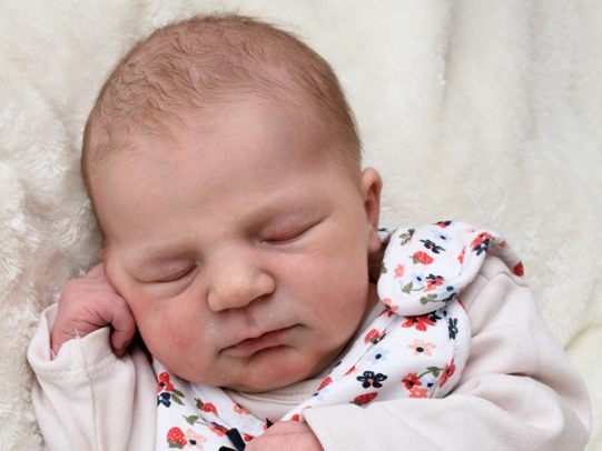 Die Vol.at - Redaktion gratuliert recht herzlich.