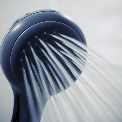 Legionellen können gefährliche Krankheiten auslösen.