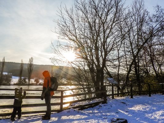 Nach der Winterruhe ist der Lainzer Tiergarten ab 3. Februar wieder komplett geöffnet. Nach der Winterruhe ist der Lainzer Tiergarten ab 3. Februar wieder komplett geöffnet.