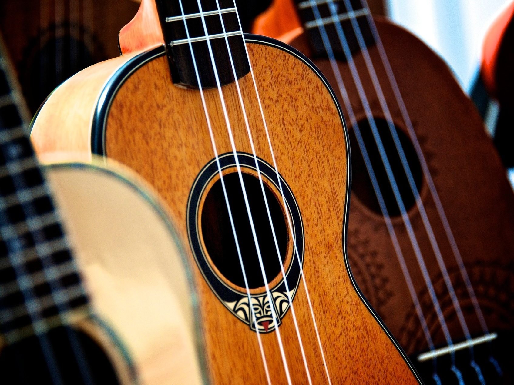 Der einzige Ukulelenbauer Österreichs findet sich in Wien.