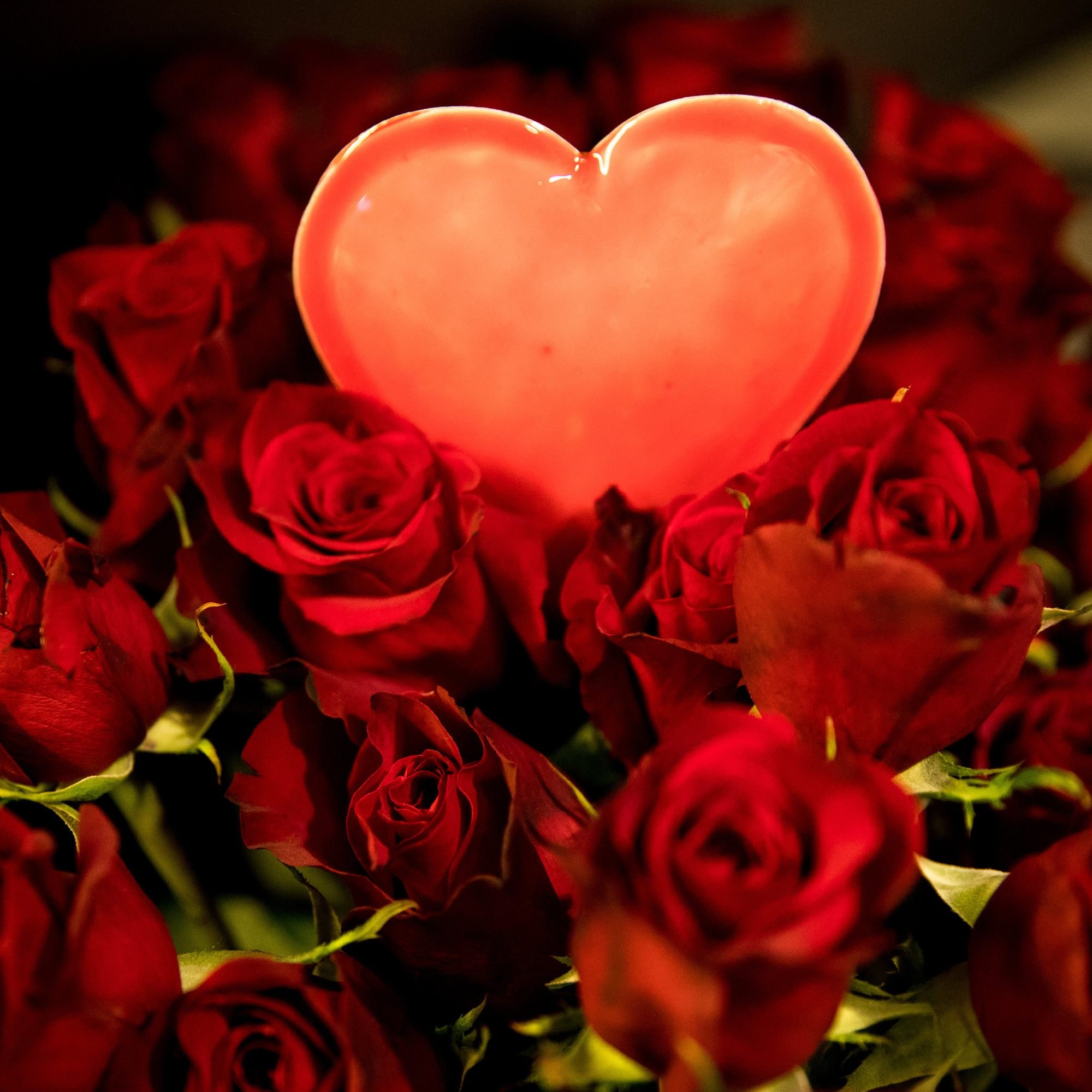 Blumen sind auch 2018 wieder das beliebteste Geschenk zum Valentinstag.