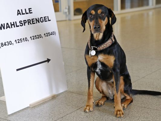 In jeder Gemeinde muss ein Wahllokal mindestens zwei Stunden geöffnet haben.
