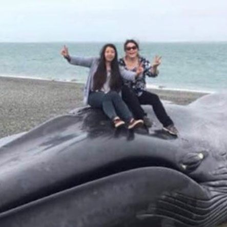 Keine Seltenheit: Selbstdarstellung verdrängt guten Geschmack.