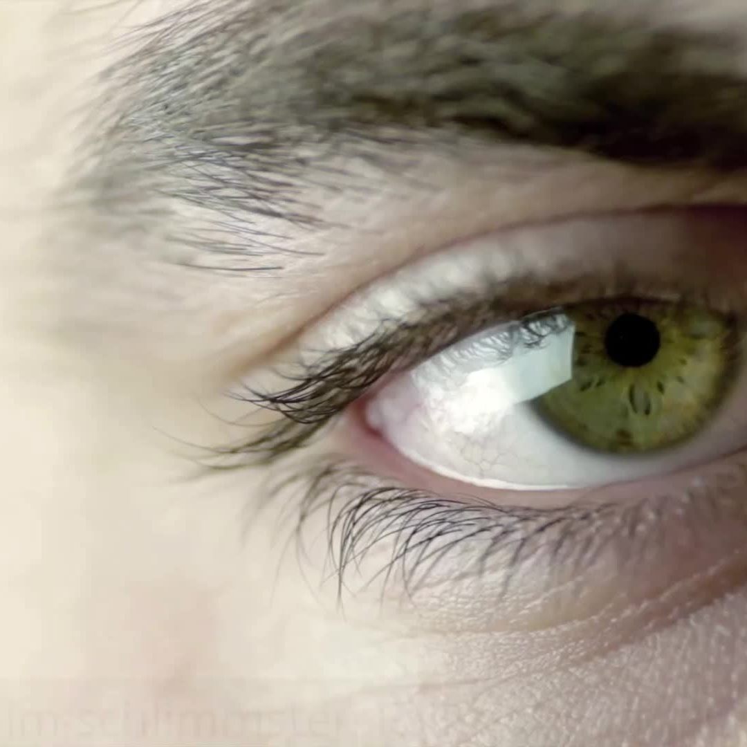 Normalerweise sind die Parasiten nur bei Tieren zu finden.