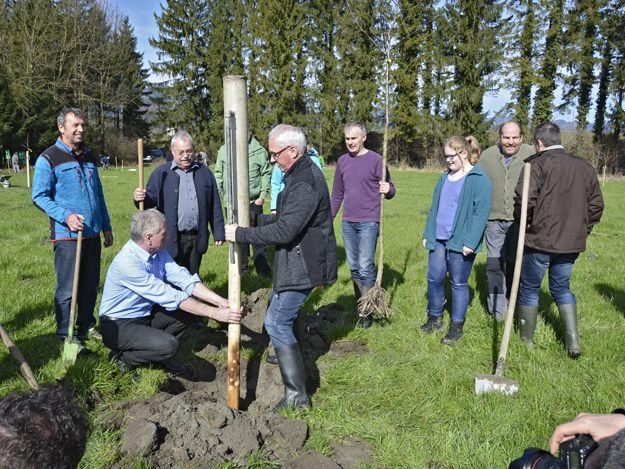 Hochstamm-Pflanzaktion in Meiningen