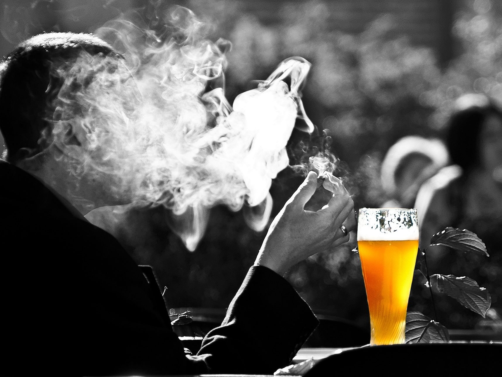 Das IHS meldet sich in Sachen Gastro-Rauchverbot mit einer wissenschaftlichen Übersicht