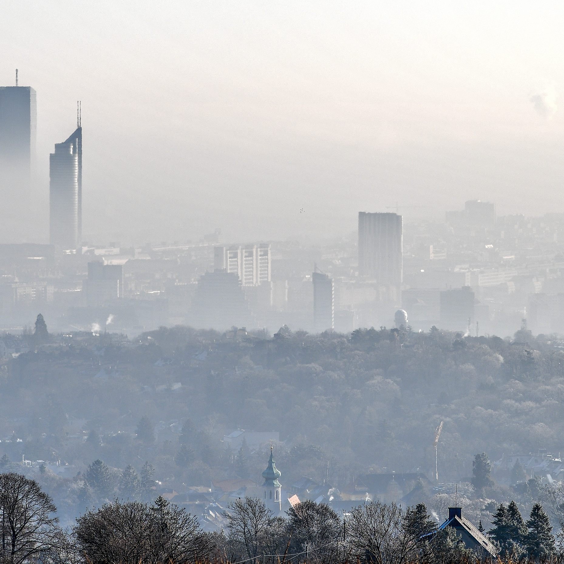 Die Lage des Wiener Wohnungsmarktes wird sich in Zukunft kaum verändern