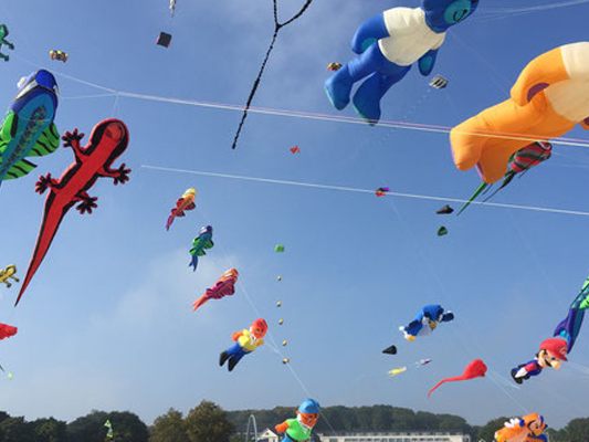 Zahlreiche Exponate können beim 1. Drachenfest im Burgenland bestaunt werden.