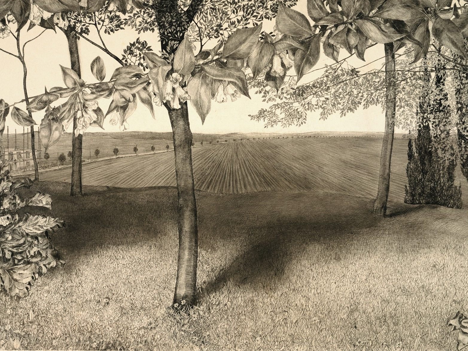 Werke von Klemens Brosch sind im Belvedere in Wien zu sehen.