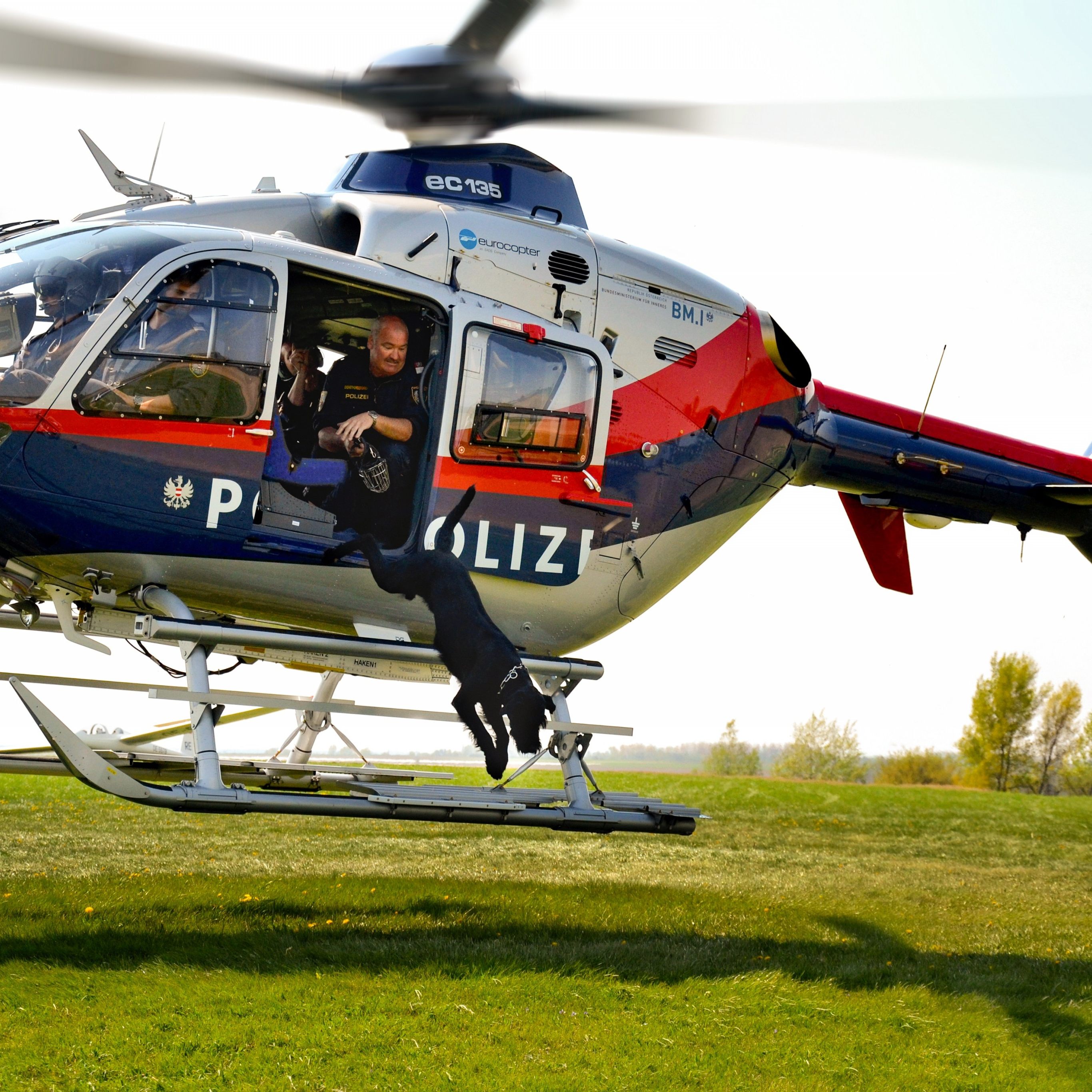 Alle Wiener Polizeihunde werden zu Schutz- und Stöberhunden ausgebildet. Danach folgt eine Spezialausbildung.