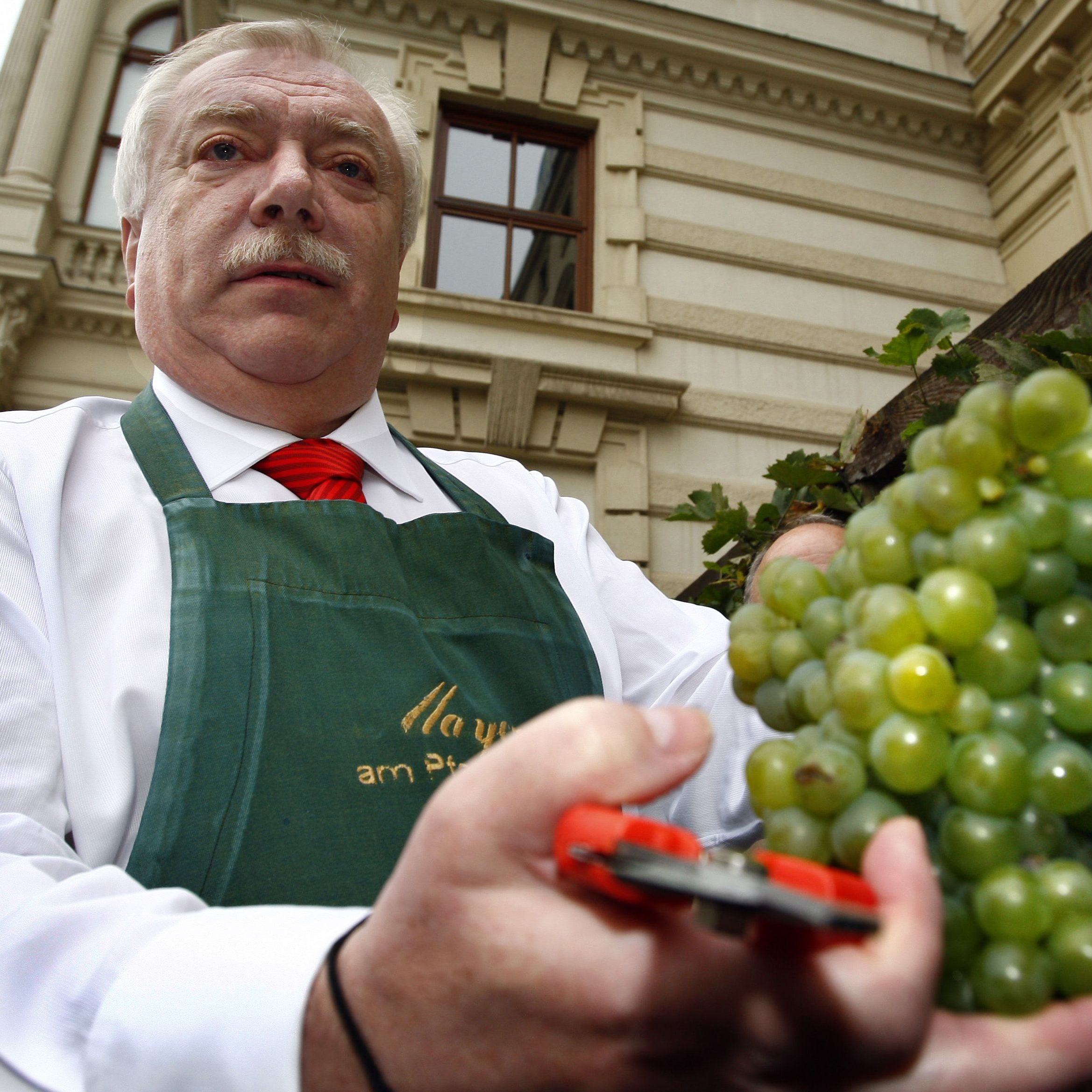 Der Nachschub für den Spritzwein in Wien ist gesichert - die Weinbauern blicken auf ein gutes Jahr 2017 zurück.