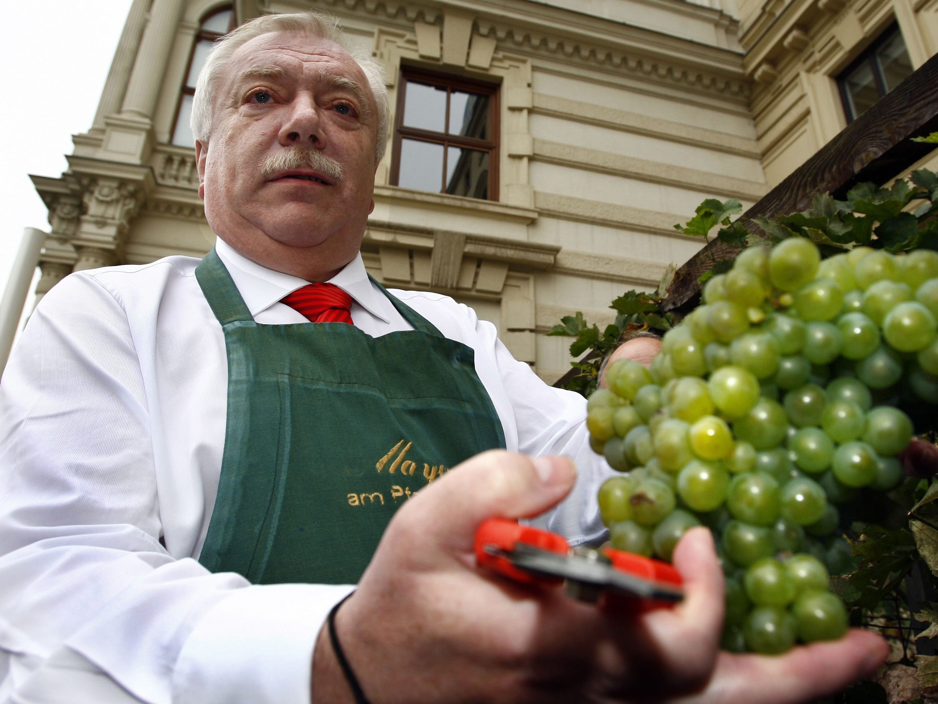 Der Nachschub für den Spritzwein in Wien ist gesichert - die Weinbauern blicken auf ein gutes Jahr 2017 zurück.