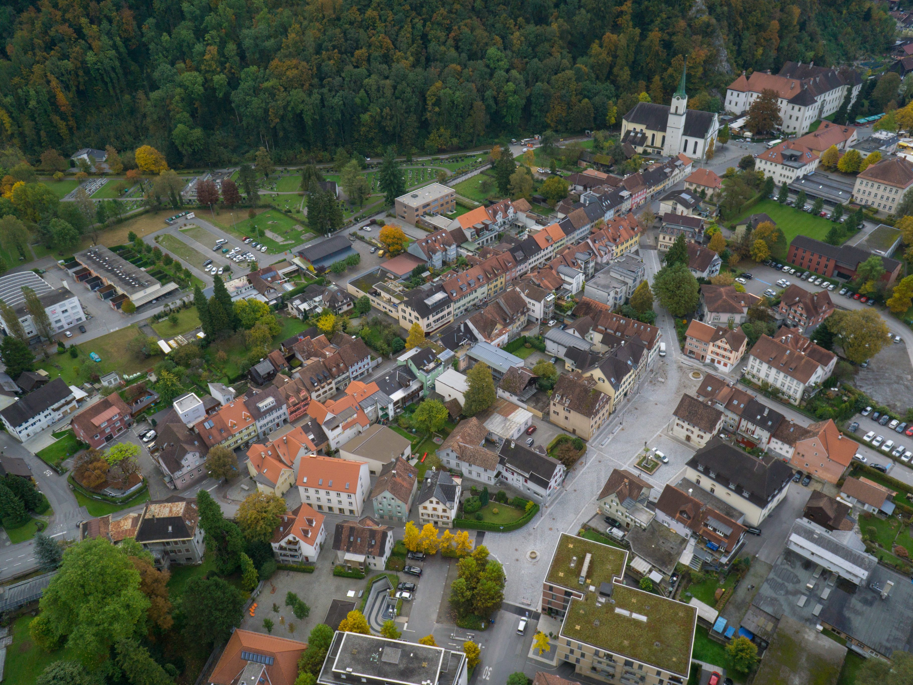 In Hohenems wurden sechs Pkw beschädigt.