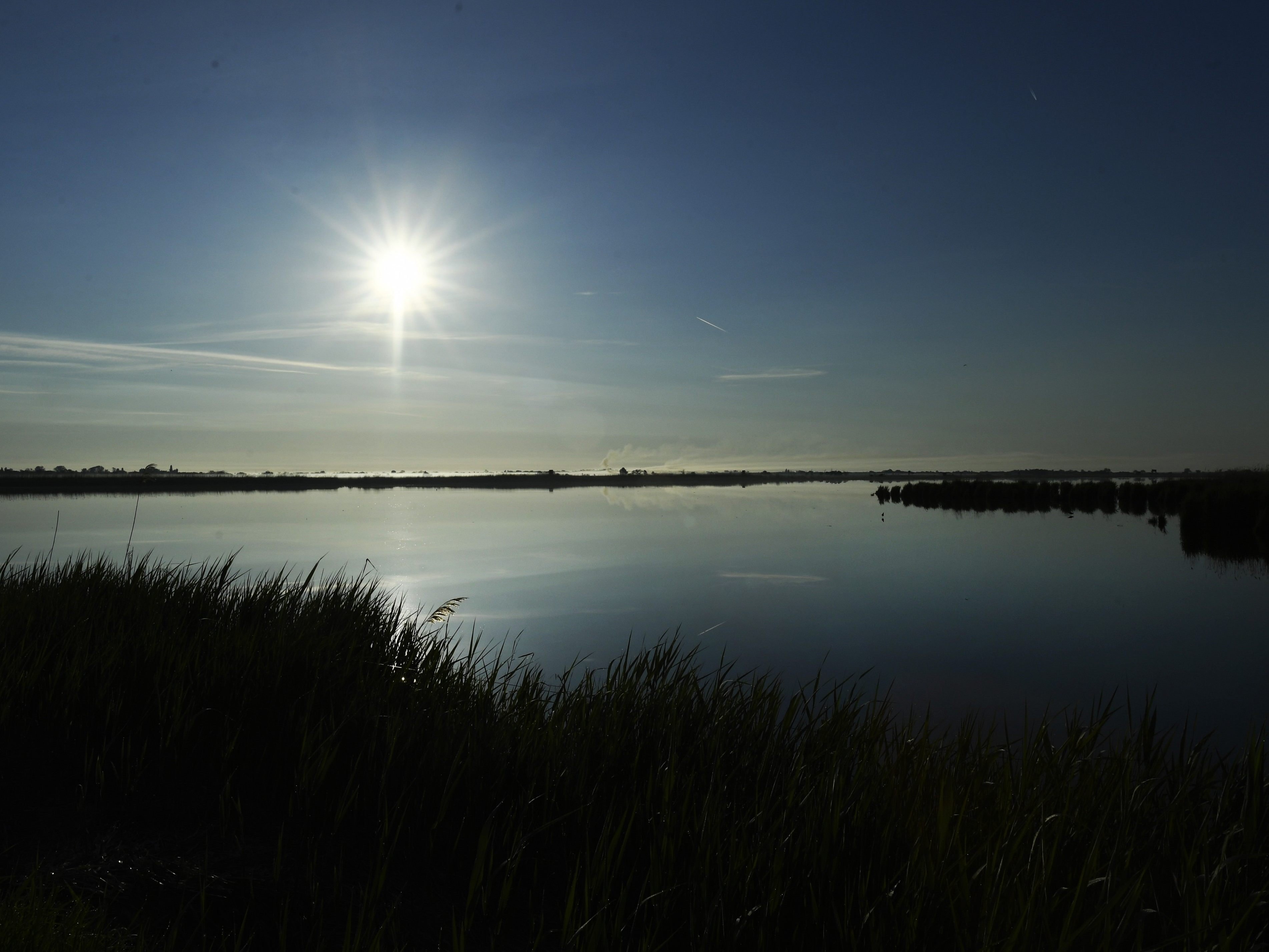 Im Neusiedler See bei Wien wurde eine Leiche ohne Kopf entdeckt.