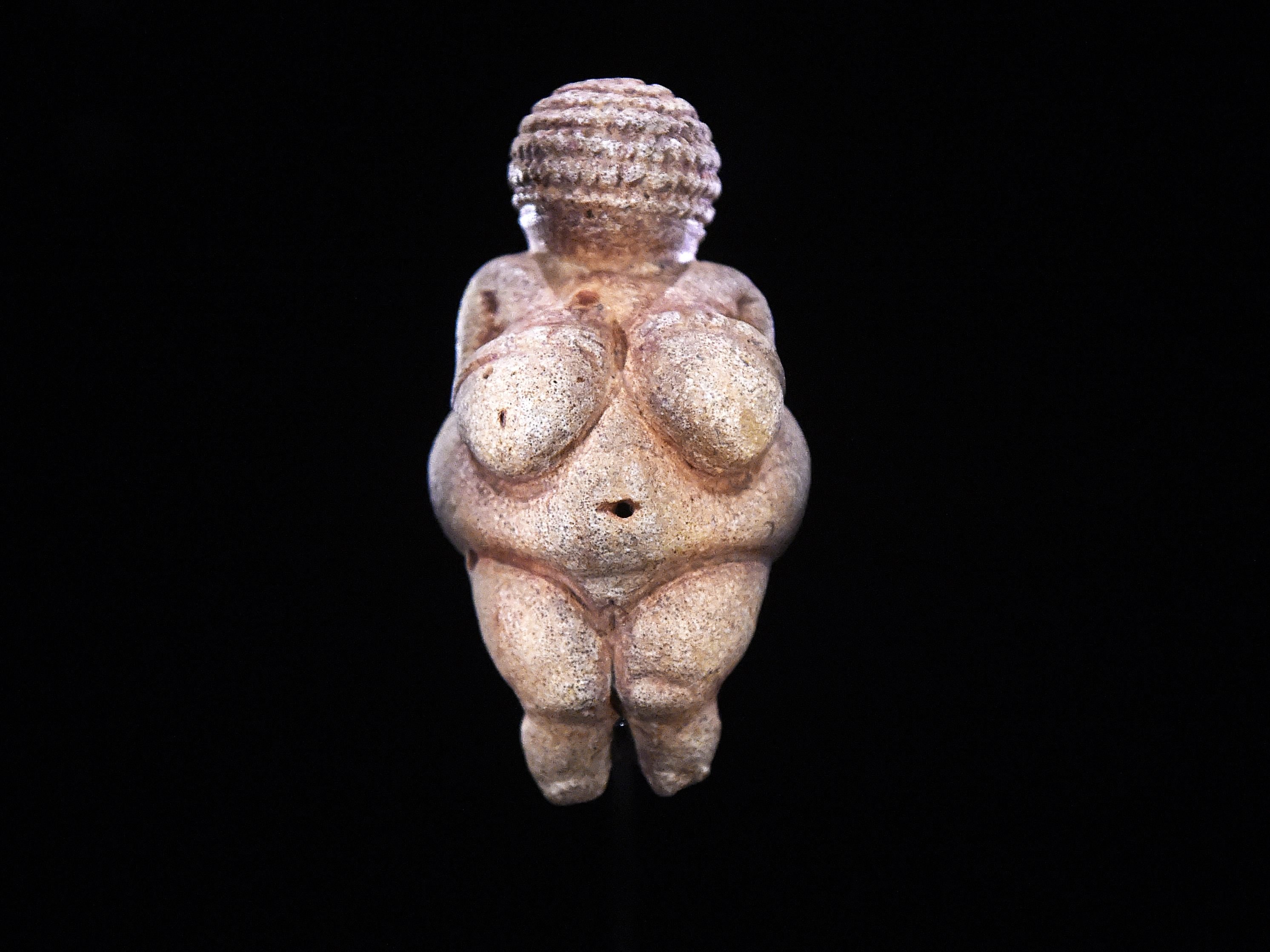 Die Venus von Willendorf hat Rhythmus im Blut. Die Venus von Willendorf hat Rhythmus im Blut.