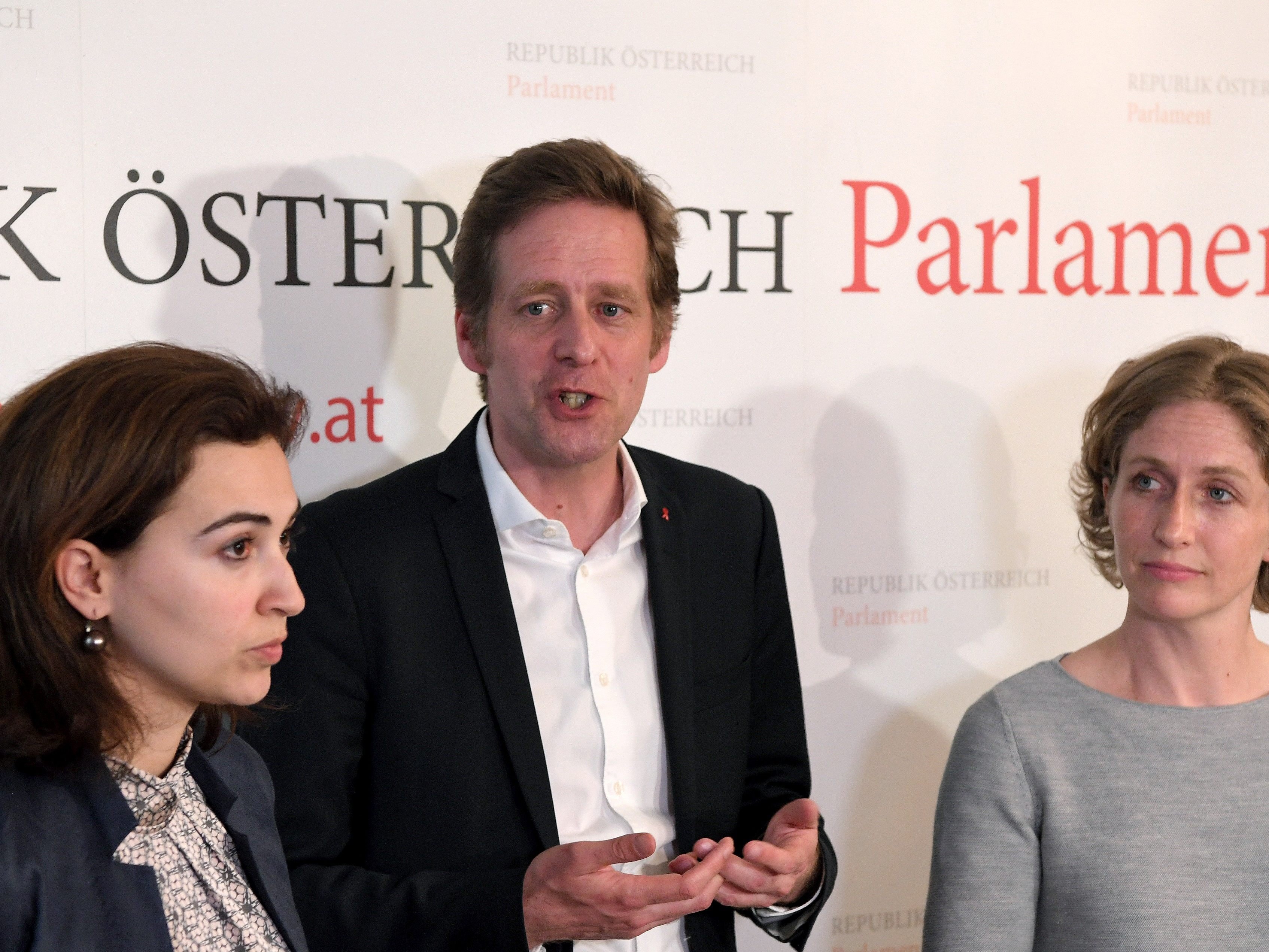 SPÖ wollte sich langwierigen Weg zum VfGH sparen. SPÖ wollte sich langwierigen Weg zum VfGH sparen.