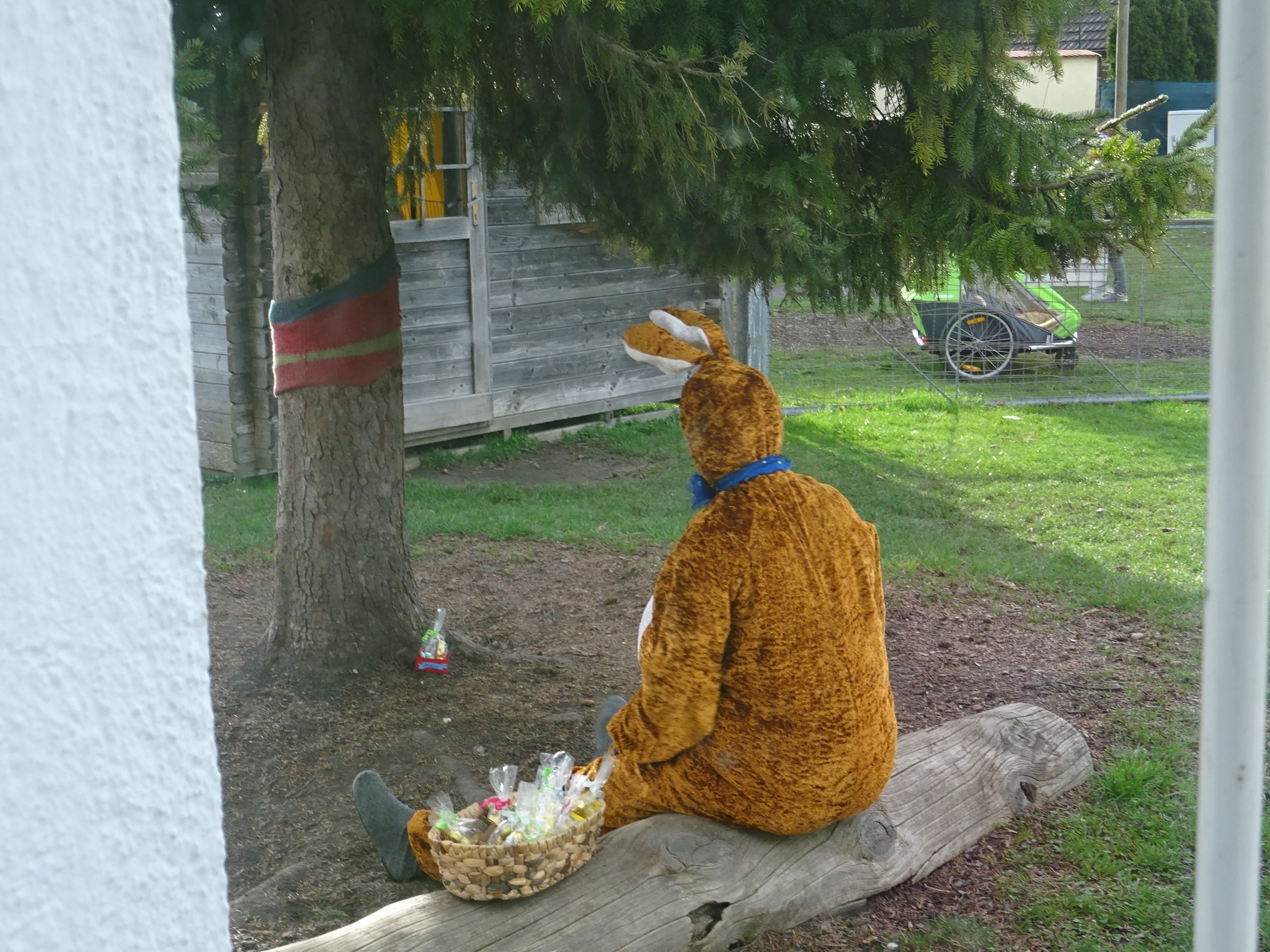 Der Osterhase im Schnäggahüsle-Garten