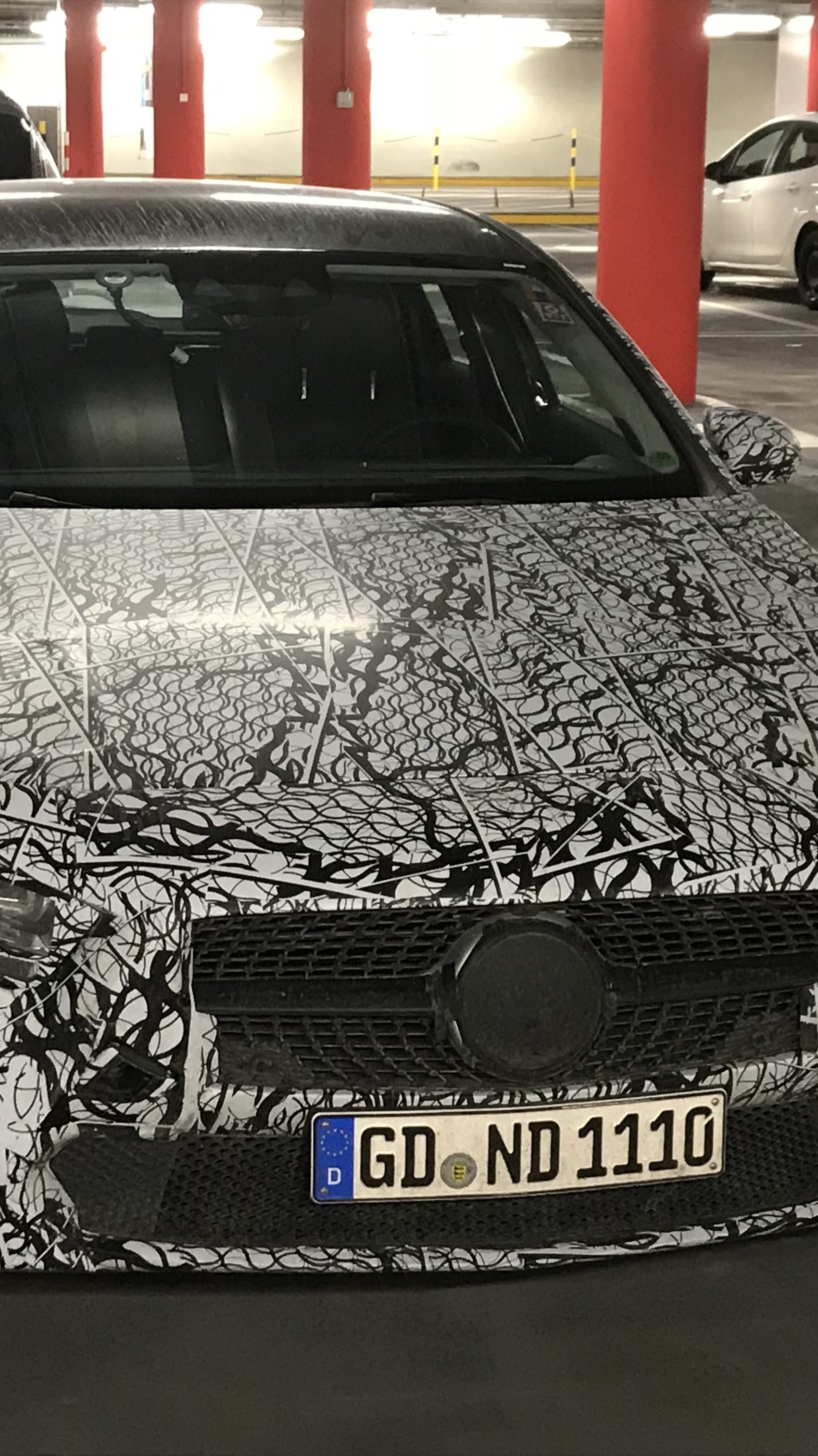 Erlkönig in Dornbirn