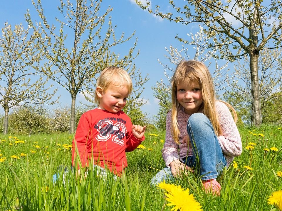 Symbolfoto Symbolfoto