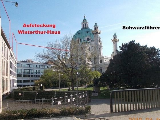 Die Schwarzföhren im Resselpark sollen einem Bauprojekt weichen.