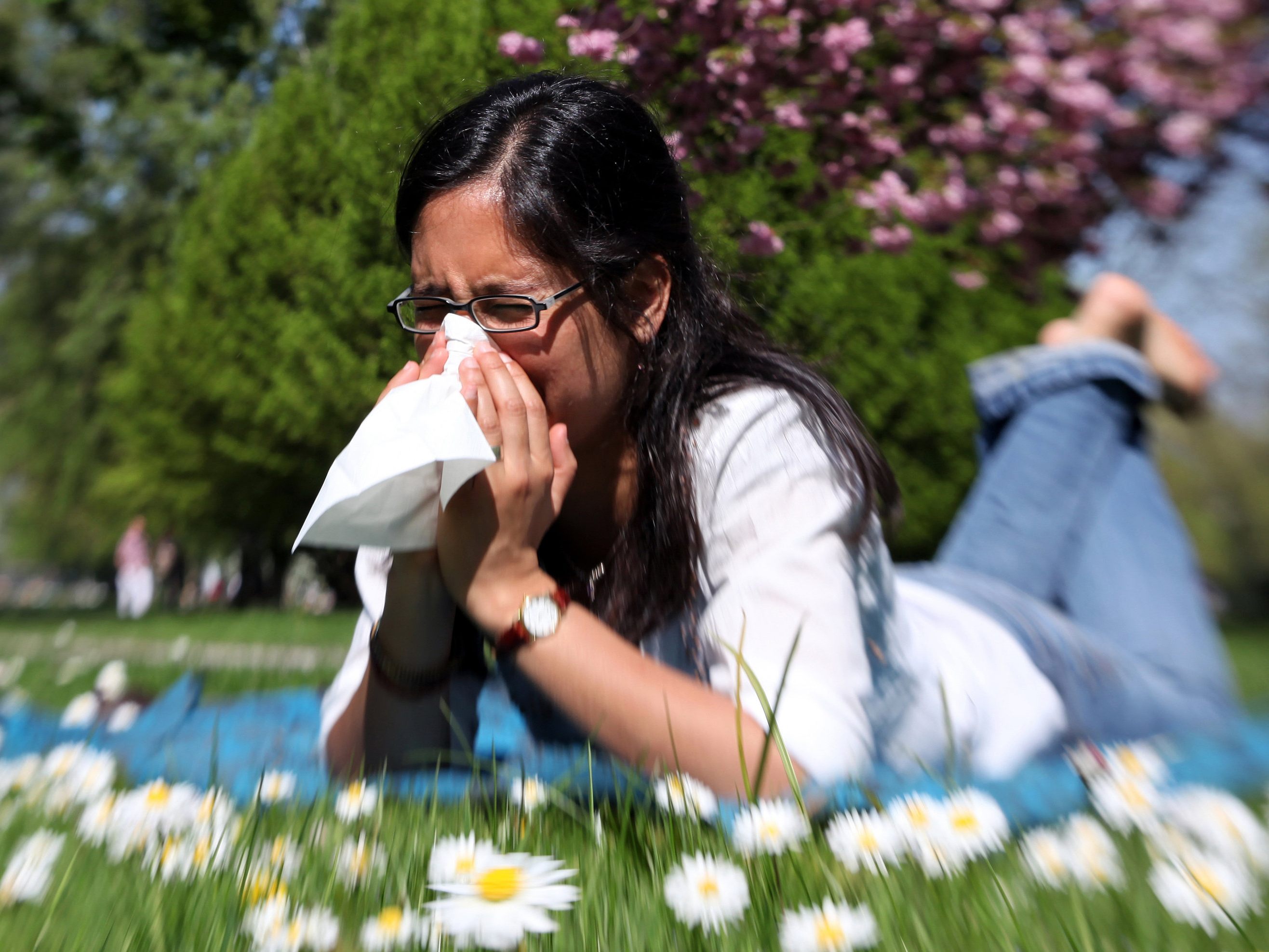 Mit dem Frühling wird auch die Heuschnupfensaison eingeläutet - besonders Birken-Allergiker leiden darunter. Mit dem Frühling wird auch die Heuschnupfensaison eingeläutet - besonders Birken-Allergiker leiden darunter.