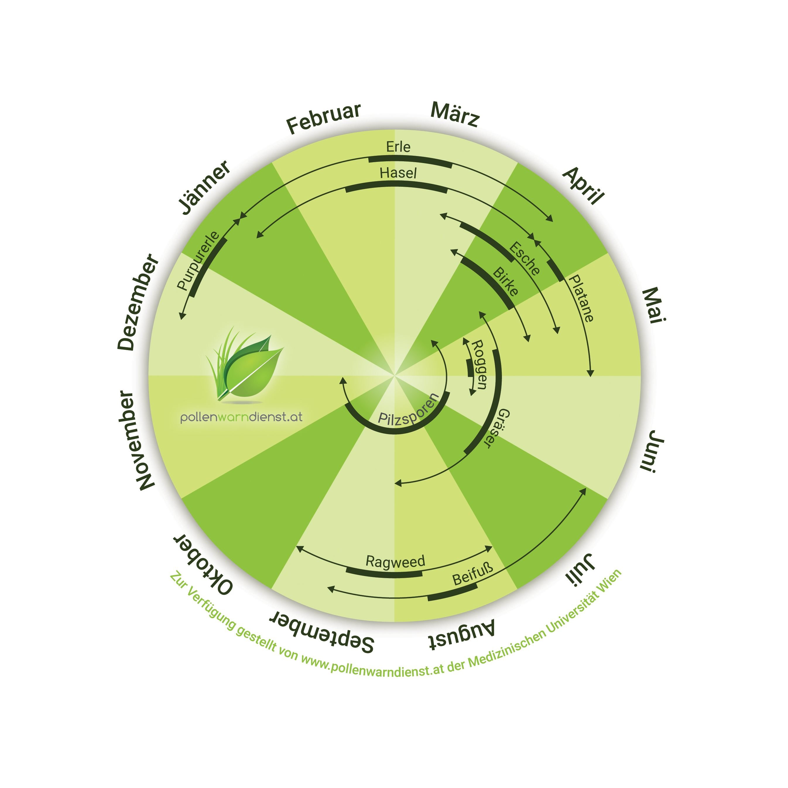 Der Kalender des Pollenwarndienstes zeigt Allergikern, wann die Saison ihres Allergens ansteht.