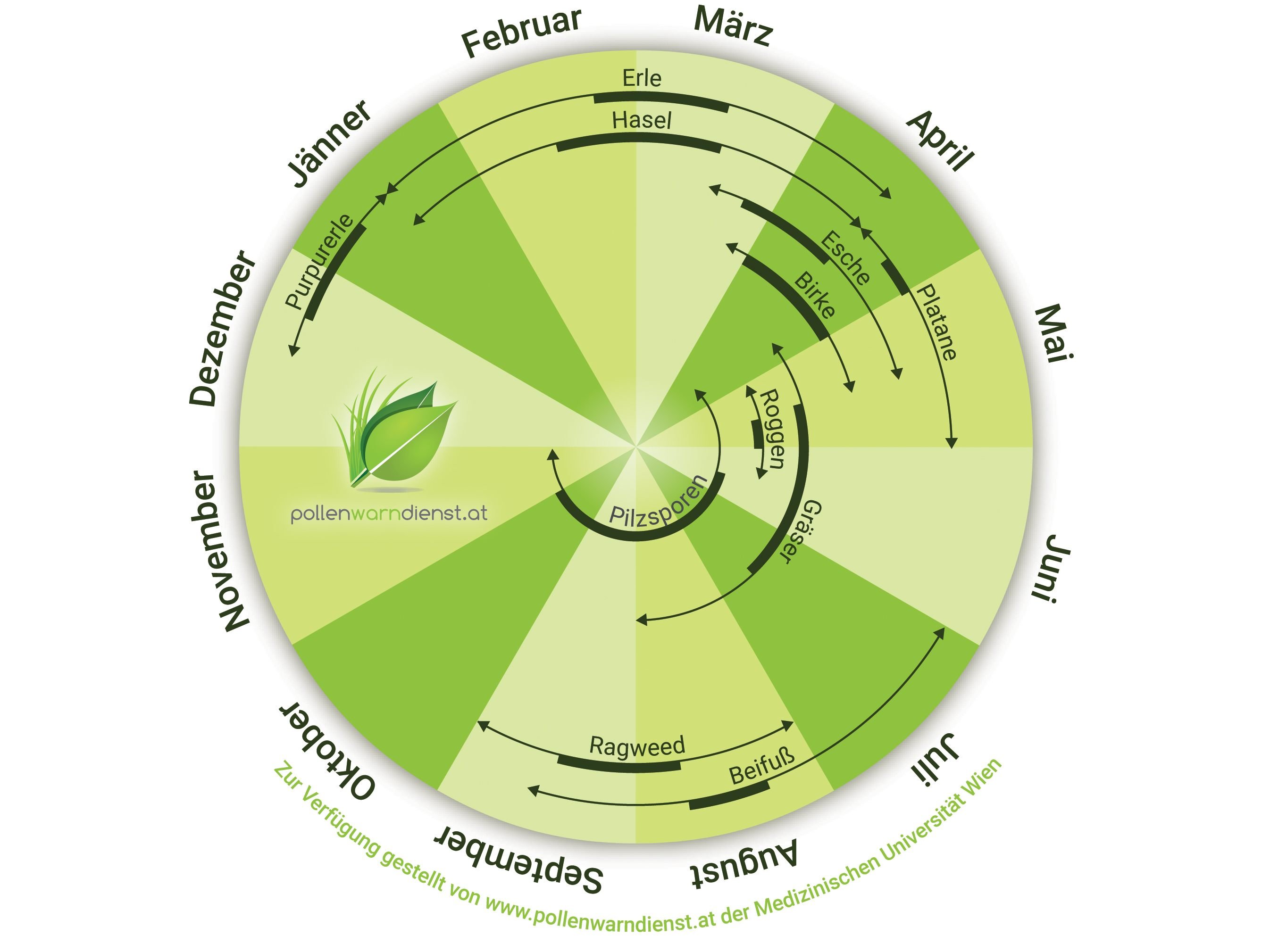 Der Kalender des Pollenwarndienstes zeigt Allergikern, wann die Saison ihres Allergens ansteht.