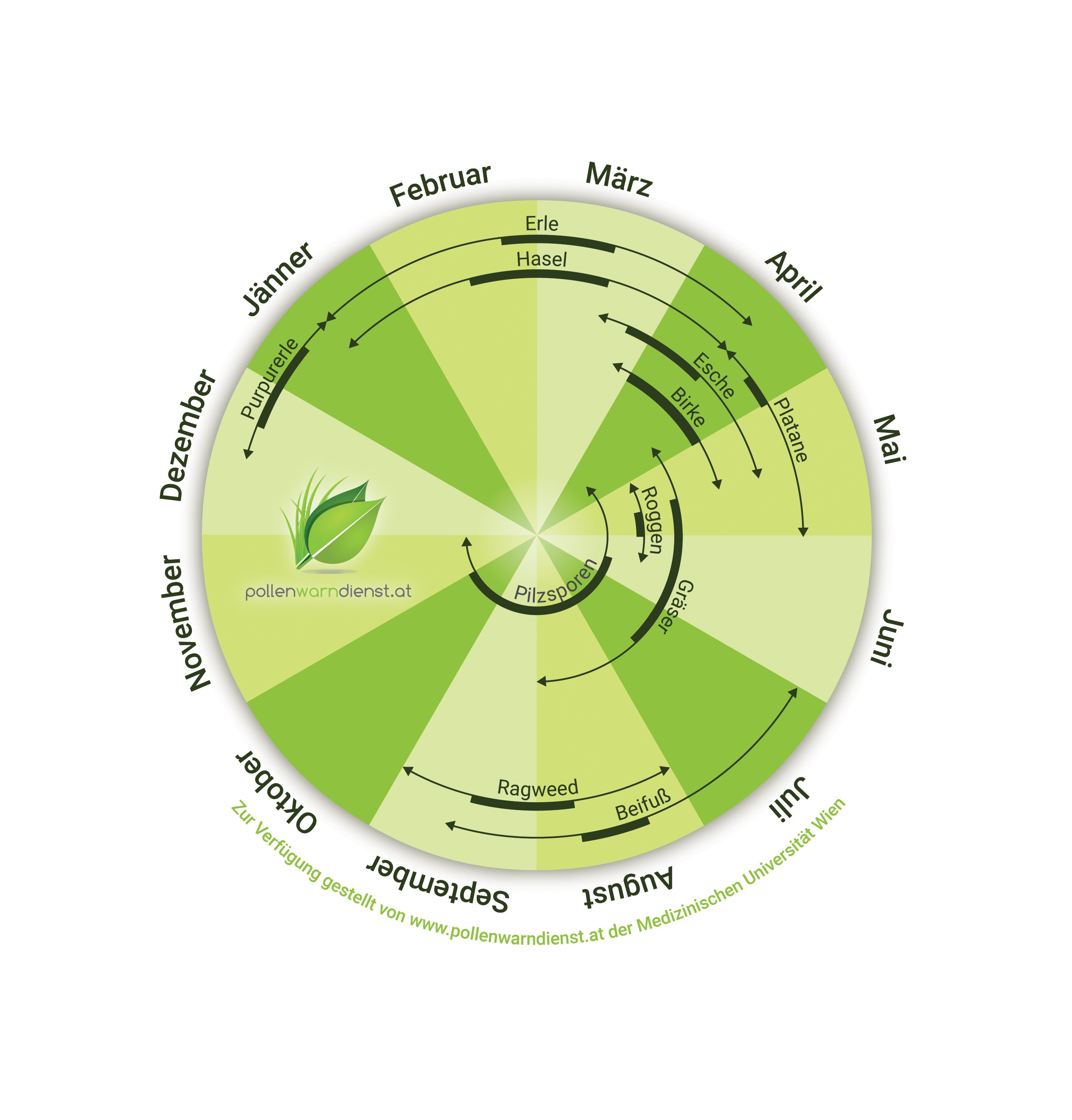 Der Kalender des Pollenwarndienstes zeigt Allergikern, wann die Saison ihres Allergens ansteht. 