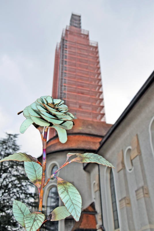 Kupferrose vor dem eingerüsteten Kirchturm