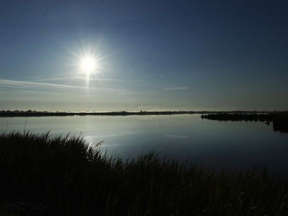 Alle im Neusiedler See gefundenen Leichenteile gehören zu der selben Frau.