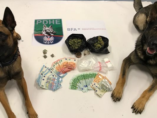 Yankee und Carlos stellten Drogen in Wien-Ottakring sicher. Yankee und Carlos stellten Drogen in Wien-Ottakring sicher.