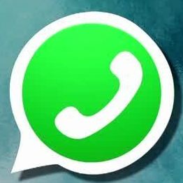 Die Ergebnisse der Untersuchung sind erschreckend.