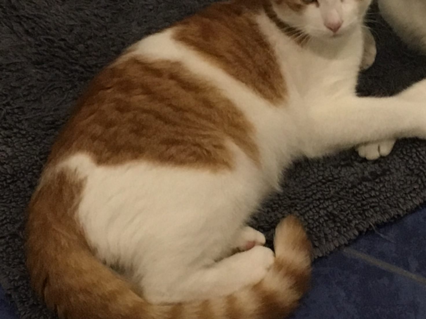 Max