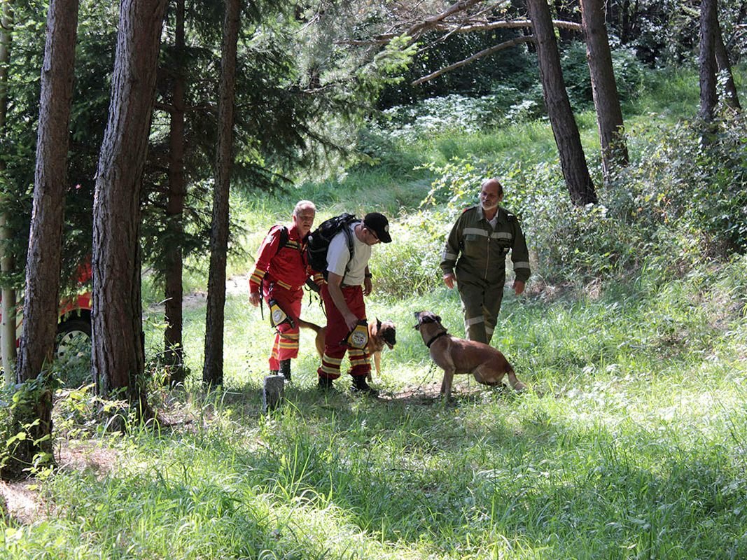 Die Frau soll dement sein. / Symbolbild