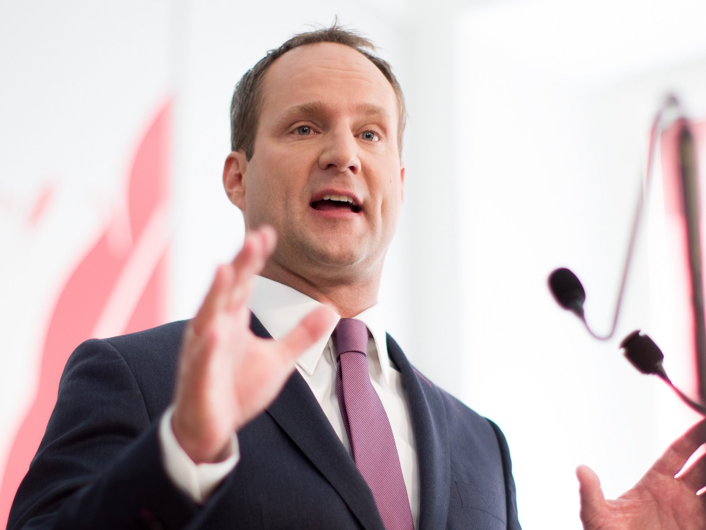 Können sich die Neos ohne Strolz behaupten? Können sich die Neos ohne Strolz behaupten?