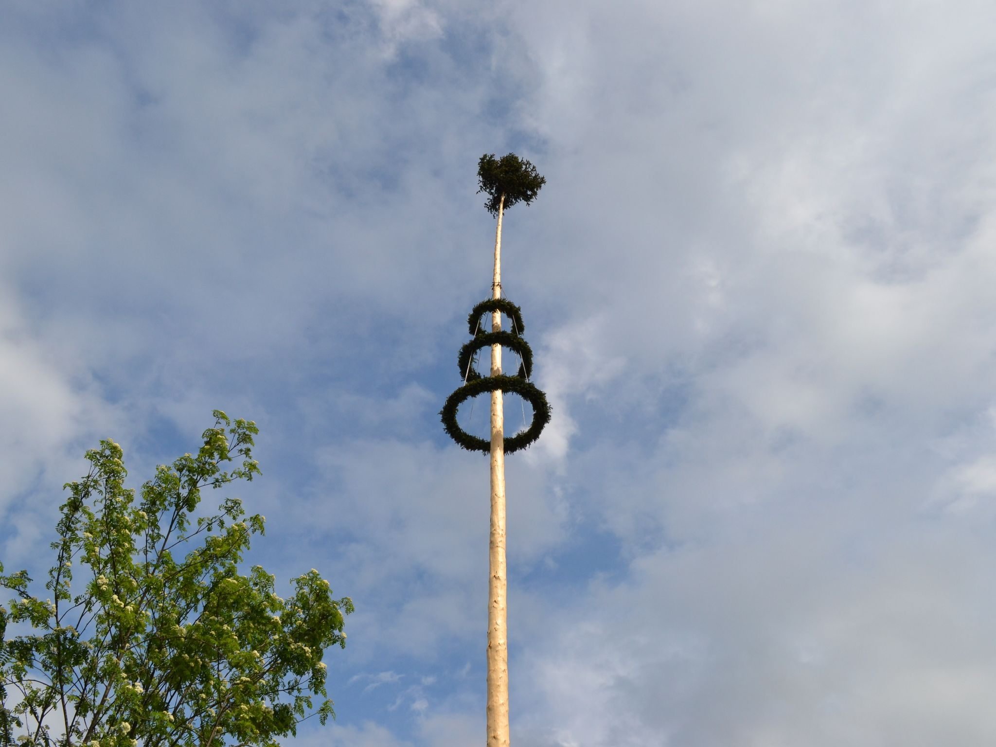 Der Nenzinger Maibaum ist 30 Meter hoch.