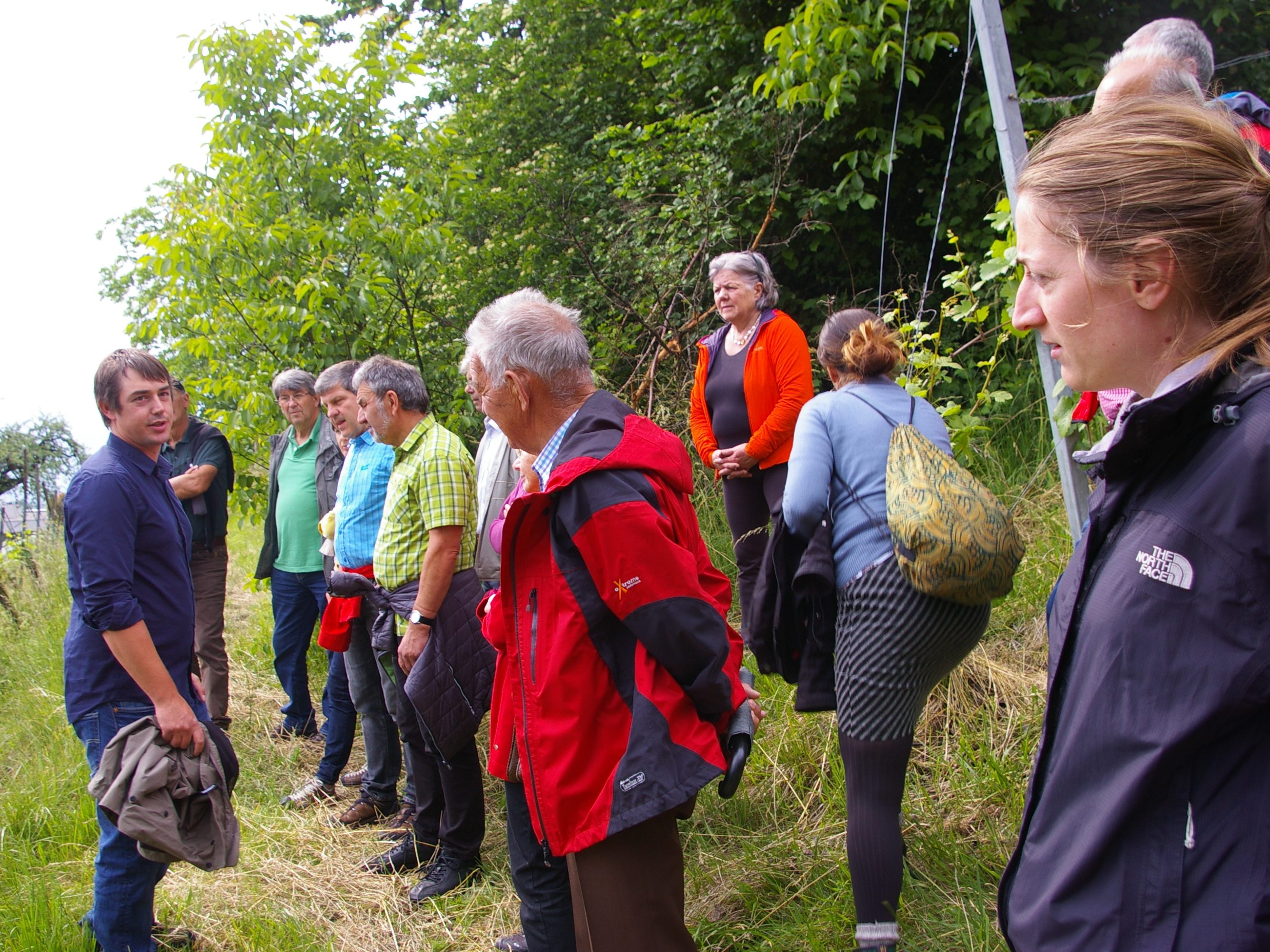 Informativer Zwischenstopp im Weingarten