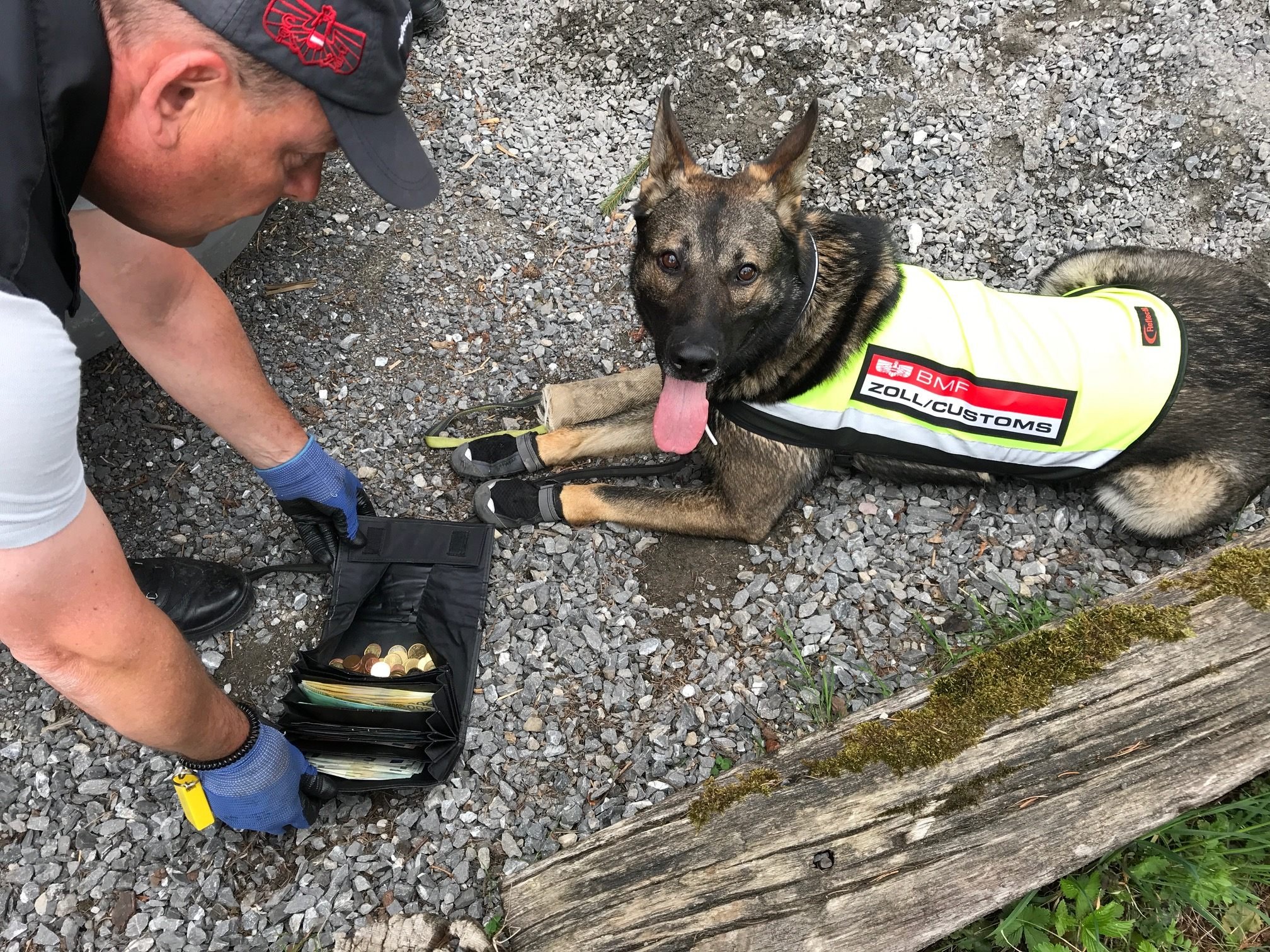Lennox spürte das gestohlene Bargeld in einem Tresor auf.