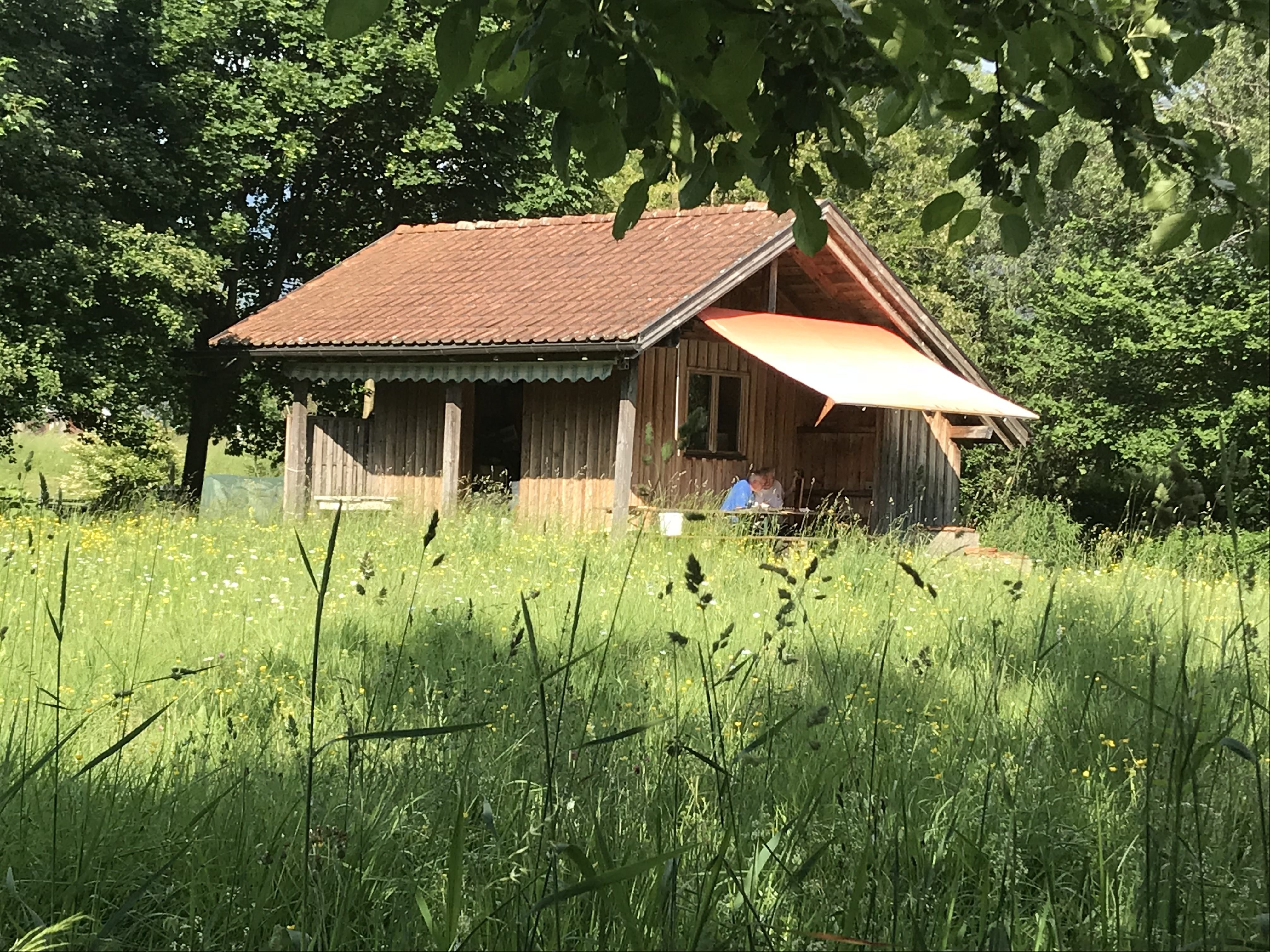 Ein Fest für die Bienen organisiert der Bienenzuchtverein Götzis/Mäder im Juni