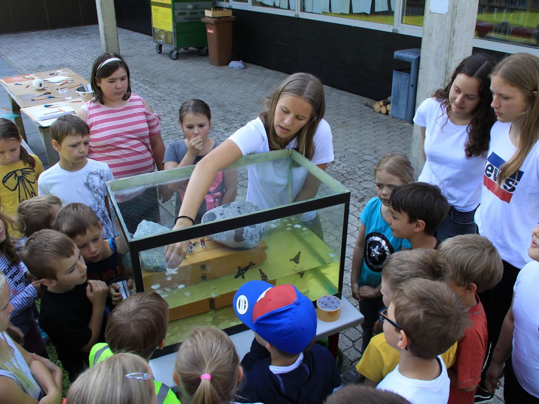 BORG-Schüler verdeutlichten Volksschülern die Folgen des Klimawandels. BORG-Schüler verdeutlichten Volksschülern die Folgen des Klimawandels.