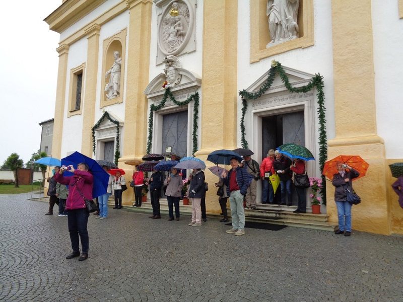 PVÖ Lustenau bei Greifvögeln, in Hohenwerfen und Maria Plain.