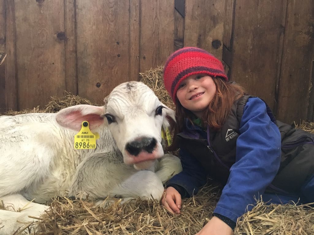 Get Gluckliche bilder HD Gluckliche Bilder