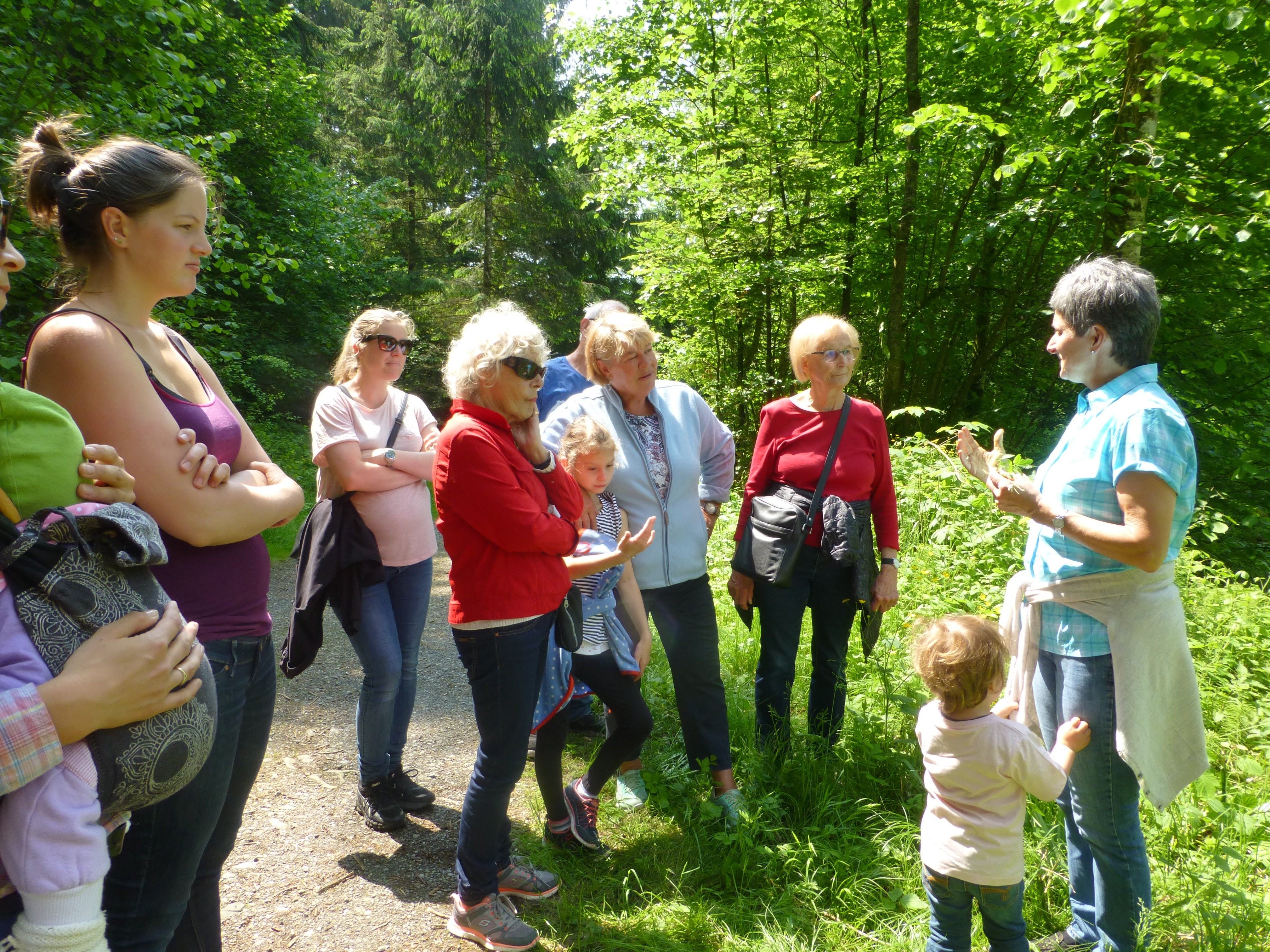Kräutersuche im Wald