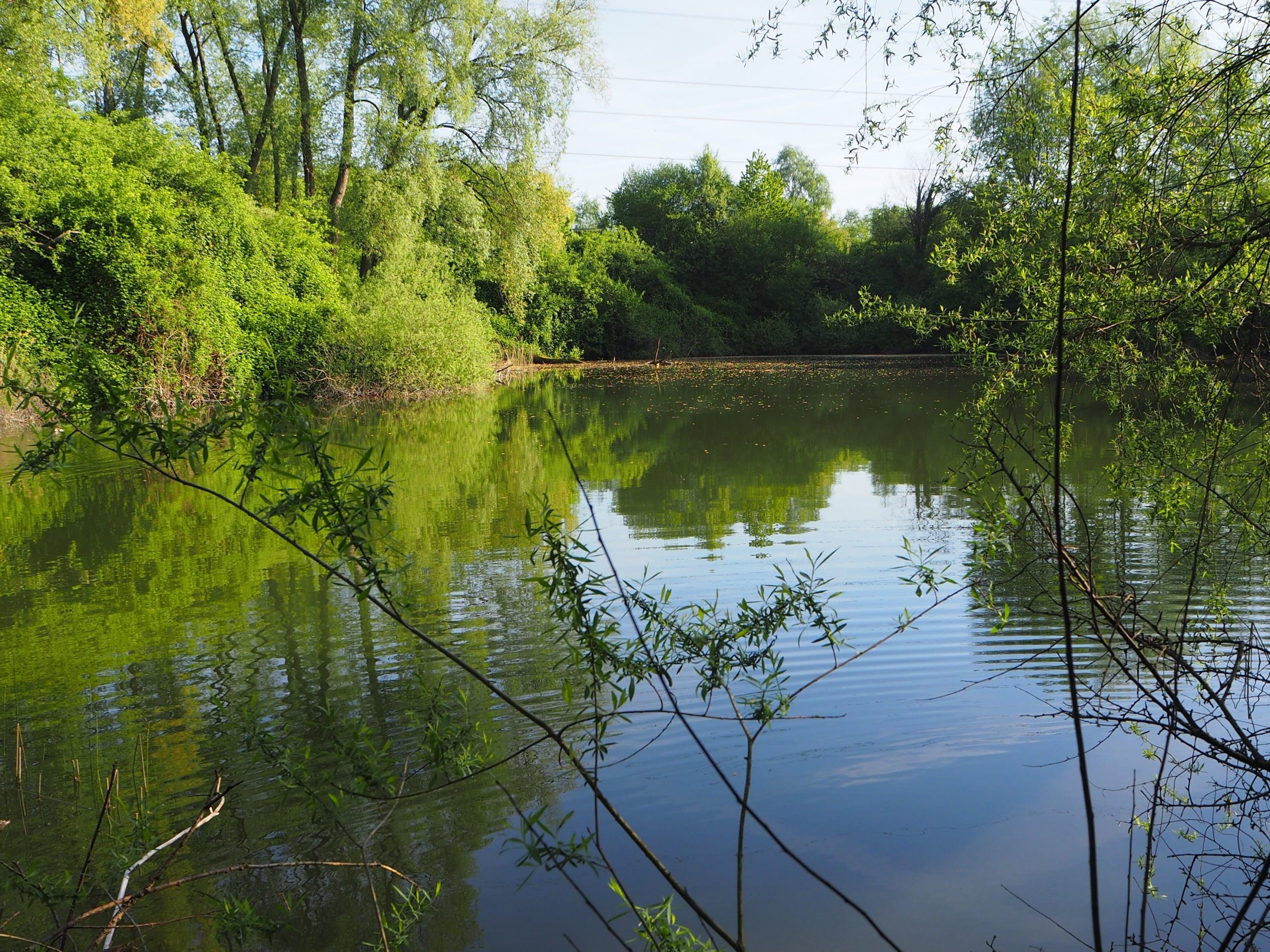 Naturoase Sauwinkel