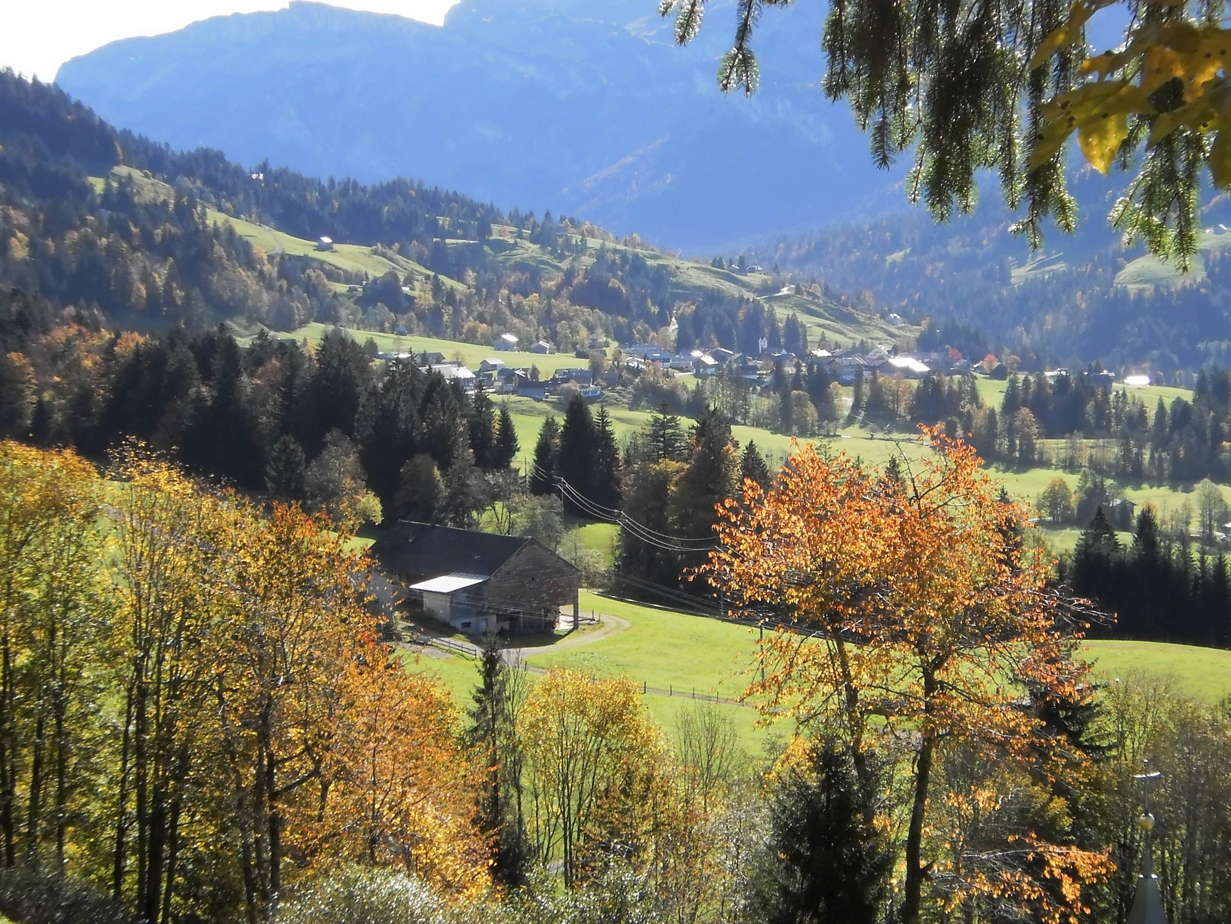 Bregenzerwald