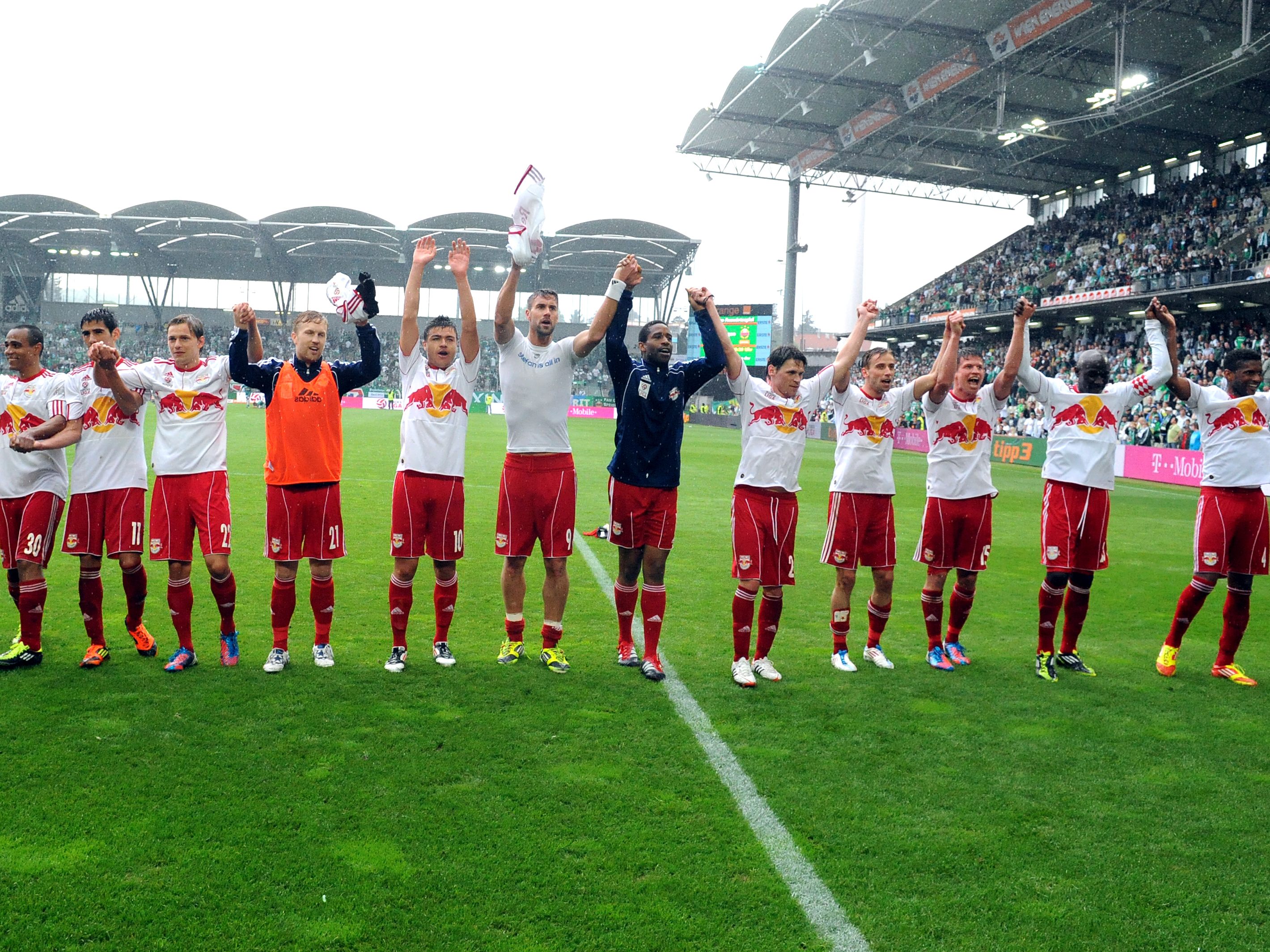 Die Bullen wollen ein perfektes Spiel.