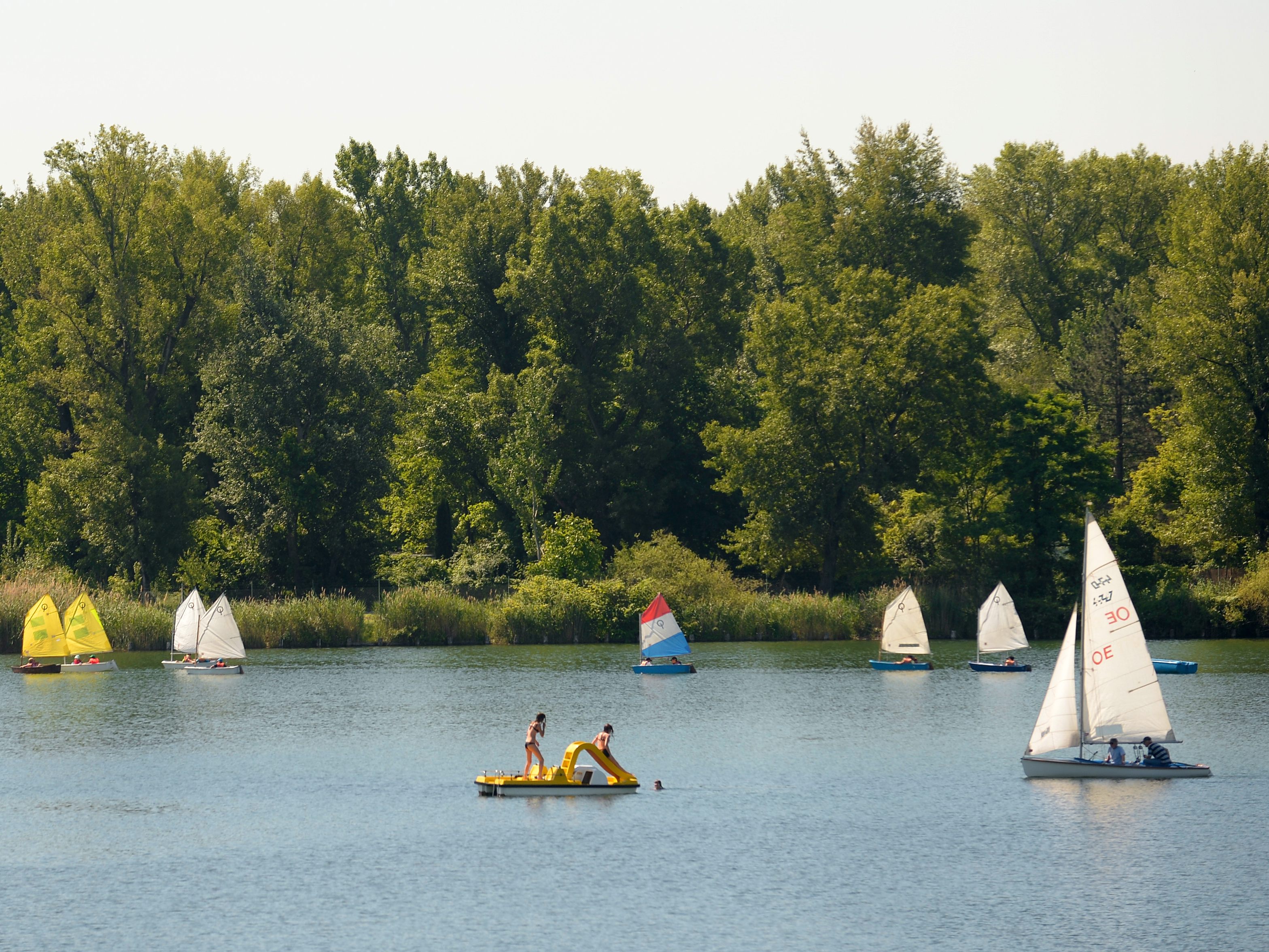 Am Freitag wurde eine tote Person in der alten Donau entdeckt.