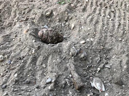 Die Handgranate wurde bei Grabungsarbeiten gefunden.